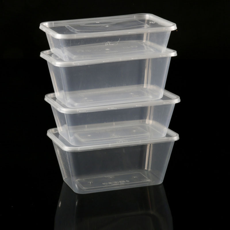 Disposable lunch box
